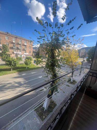 Птичье гнездо, Vanadzor (foto 5)
