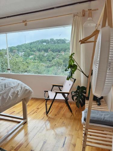 Nằm Mơ 3 Homestay - chi nhánh Đặng Thái Thân - 주변 환경