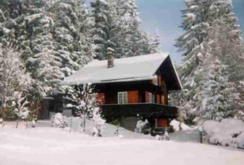  Maiensäss WiFi, Naturnah, Familienfreundlich, sonnig, flach, in den Almweiden, guter Preis in Les Paccots