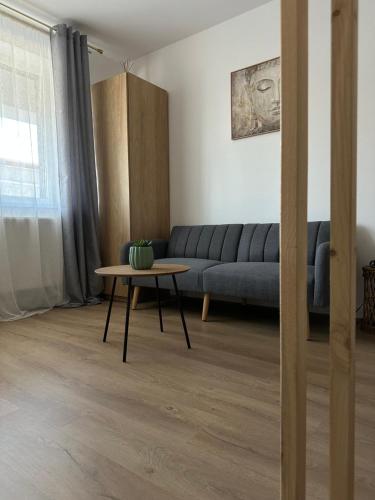 Studio Palm, Popeşti-Leordeni