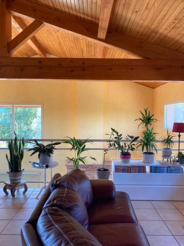 Cantagallina gîte à louer Cumiés