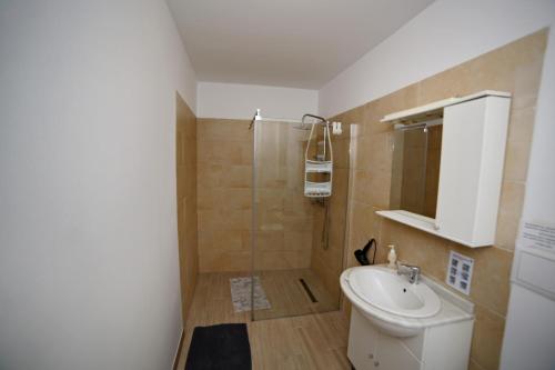 Guesthouse Casa Baciu - image 8