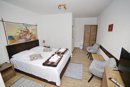 Guesthouse Casa Baciu - main image