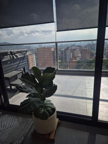 Laureles 11th Floor, Jacuzzi and AC, Medellín (fotografie 10)