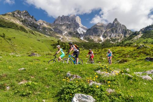 Dorf-Chalets Filzmoos mit Sauna