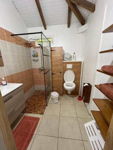 Bathroom, Joli bungalow fleuri in Les Abymes