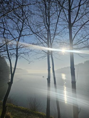 Tresna Dream