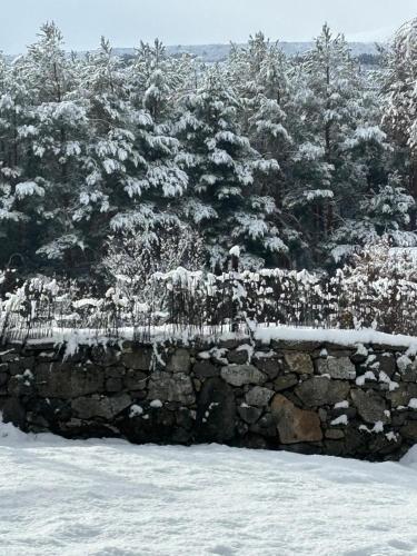 Hotel Rural Alto Gredos - image 6