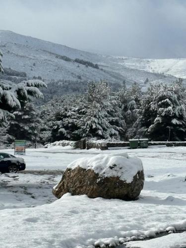 Hotel Rural Alto Gredos - image 2