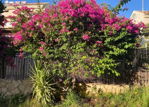 דירת גן מרווחת במיקום מעולה עם נטפליקס חינמי in East Mountainside