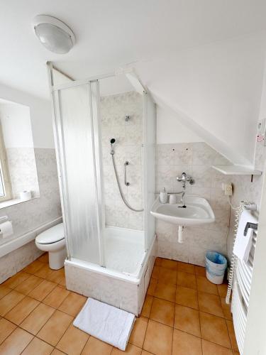 Pohoda u Lva in Nova Pec