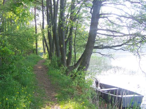 Gościniec Rospuda 1 - image 12
