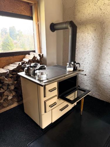 Pohoda u Lva in Nova Pec