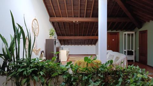 Ben House in ฟาชา เด ซีมา