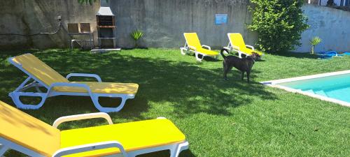 Refugio dos Cartolas