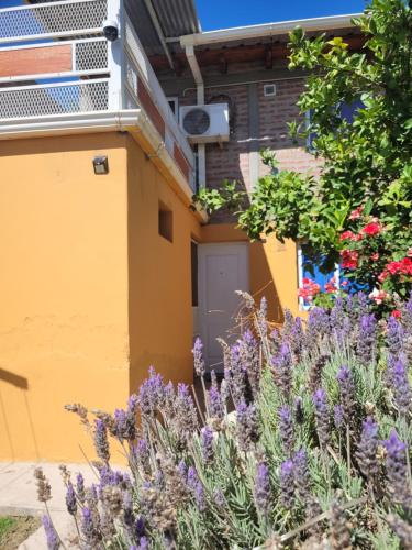 숙소 외관, El Pilo in 센테나리오