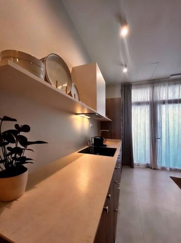 Pivote Flats-Playa A, Валенсия (фото 4)