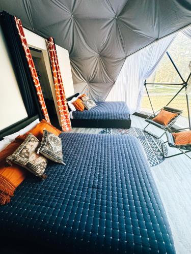 DayDreamer Domes - image 11