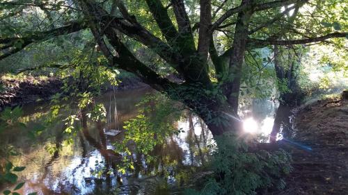 Les Rives de CAUPIAN chambre d'hôte Saint-Jean-d'Illac