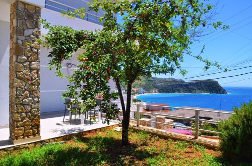 Harmonia Himara in วลอรา