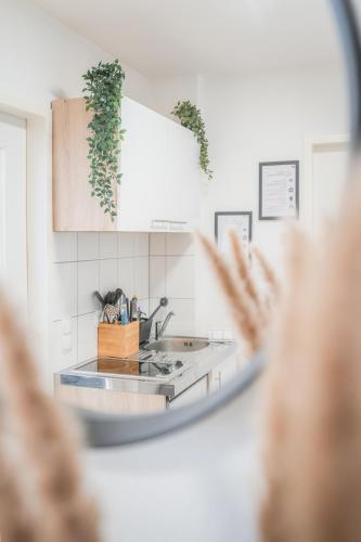 Green Serenity Bielefeld Green Serenity Bielefeld