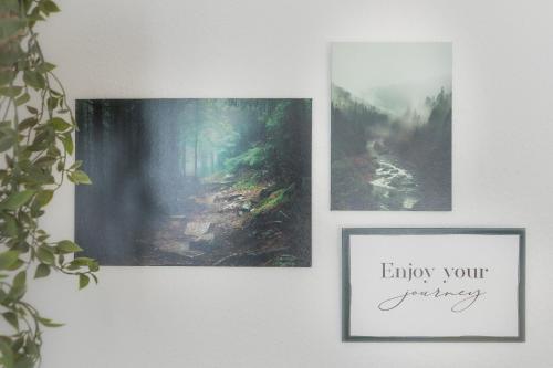 Green Serenity Bielefeld Green Serenity Bielefeld