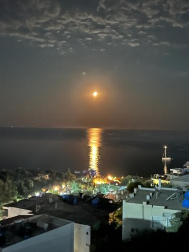 Harmonia Himara in วลอรา