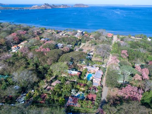 View, Parti Gras Hotel & Villas en Playa Potrero in Potrero