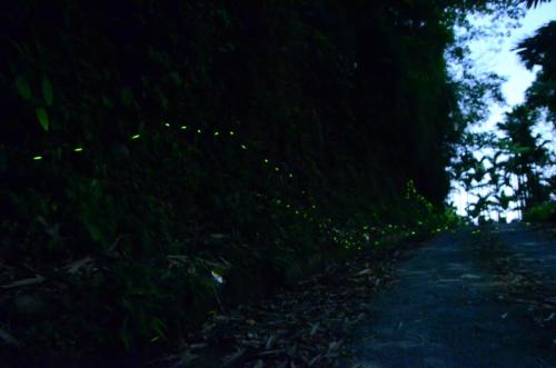 Surrounding environment, Artistic Forest in Yunlin