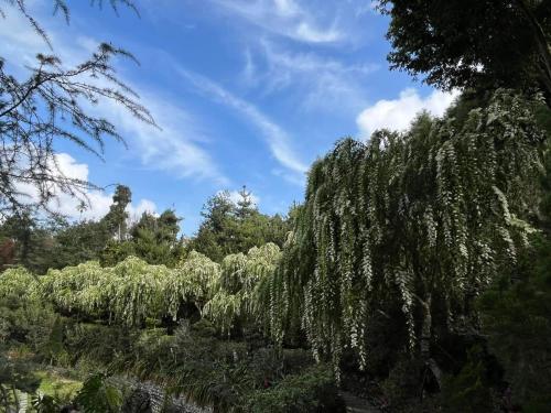 Garden, Artistic Forest in Yunlin