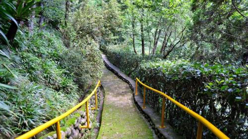 Garden, Artistic Forest in Yunlin