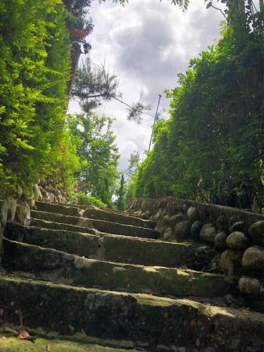 Surrounding environment, Artistic Forest in Yunlin