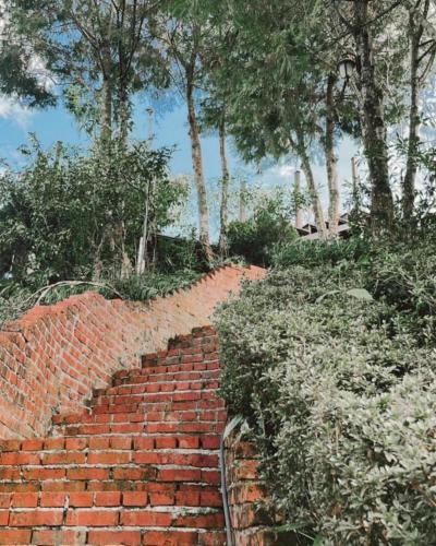 Garden, Artistic Forest in Yunlin