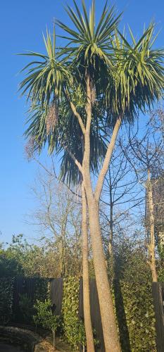 ทัศนียภาพ, The Hide Out in เบลล์วิว