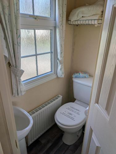 Otter view Otter view