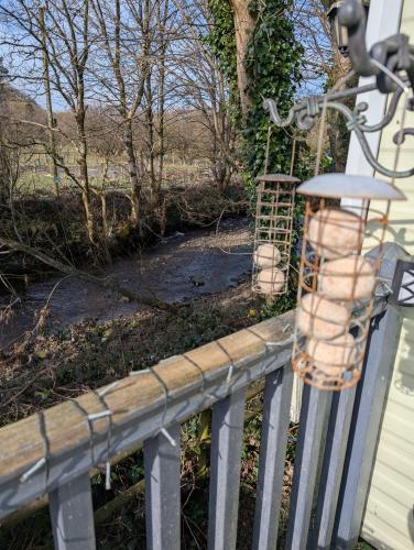 Otter view Otter view