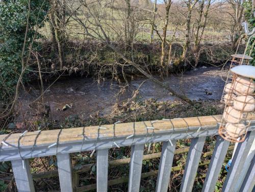 Otter view Otter view