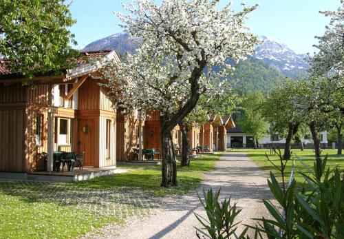 Glamping-Chalet