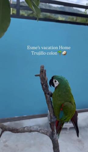 Esmes vacation home in Trujillo