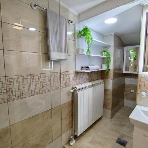 Two-Bedroom Apartment image 10