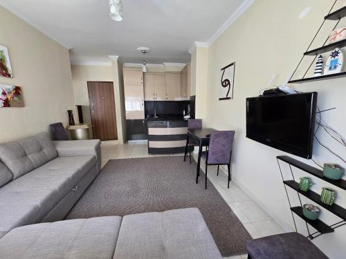 One-Bedroom Apartment image 4