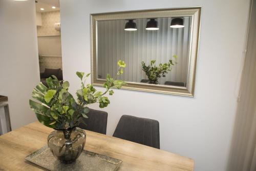 STAY Urban Skin Suite - image 5
