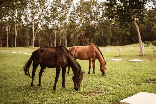Farmhouse 1 at Coffs by Tiny Away