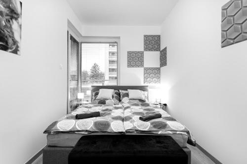 AngelLand 24 & Garage & Terrace, Budapest (Foto 10)