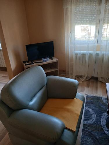Kovačević apartman (Kovacevic apartman) in Bajina Bašta