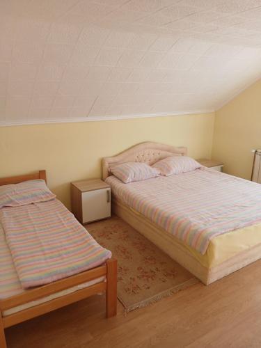 Kovačević apartman (Kovacevic apartman) in Bajina Bašta