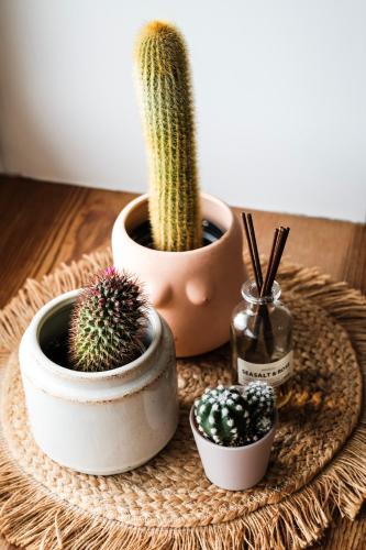 White Loft Riga in City Center with 2 King Size Beds