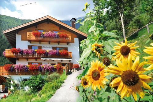  Stocknerhof, Pension in Brixen