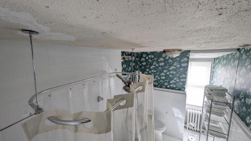 Rooftop GreeneHouse Suite Rooftop GreeneHouse Suite