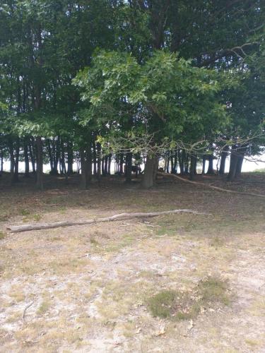 Bos Chalet Huize Vriendschap Bos Chalet Huize Vriendschap